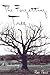 The Forgetting Tree by Rae Paris