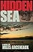 Hidden Sea