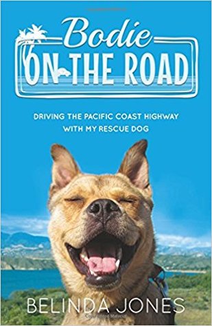 Bodie on the Road (Paperback)