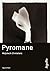 Pyromane (Jakub Mortka, #1)