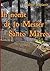 In Nome de Lo Messer Santo Marco (Italian Edition)