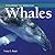 Exploring the World of Whales