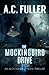 The Mockingbird Drive (An Alex Vane Media Thriller)
