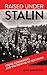 Raised under Stalin: Young Communists and the Defense of Socialism