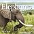 Exploring the World of Elephants