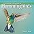 Exploring the World of Hummingbirds