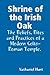 Shrine of the Irish Oak, The Beliefs, Rites and Practices of ... by Nathaniel Hunt
