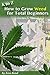 A to Z How to Grow Weed for Total Beginners