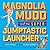 Magnolia Mudd and the Super Jumptastic Launcher Deluxe