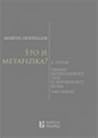 Što je metafizika? Smisao Heideggerove teze o ništavnosti bitka