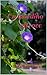 Un giardino altrove