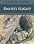 David's Flight (Kernel to C...