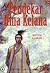 Pendekar Hina Kelana 20: Ketua Aliran