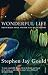Wonderful Life