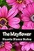 The Mayflower