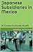 Japanese Subsidiaries in Mexico: A Cross-Cultural Audit
