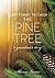 Don't Forget To Check The Pine Tree