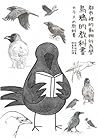 都市裡的動物行為學：烏鴉的教科書