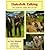 Dalesfolk Talking