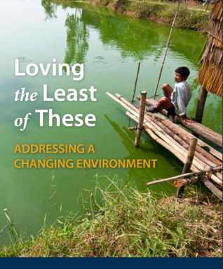 Loving the Least of These: Addressing a Changing Environment (ebook)