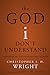 The God I Don't Understand: Reflections on Tough Questions of Faith