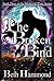 The Broken Bind: Book Three in the Shattered Time Series