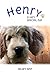 Henry: A Special Pup