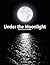 Under the Moonlight