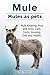 Mules as pets. Mule Keeping...