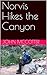 Norvis Hikes the Canyon (Norvis travel novels Book 3)