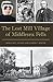 The Lost Mill Village of Middlesex Fells by Douglas L. Heath