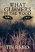 What Glimmers in the Wood