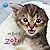 야옹 야옹 고양이: 올챙이 자연동화