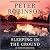Sleeping in the Ground (Inspector Banks, #24)