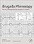 Brugada Phenocopy: The Art of Recognizing the Brugada ECG Pattern
