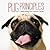 Pug Principles