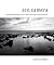 Zen Camera by David  Ulrich