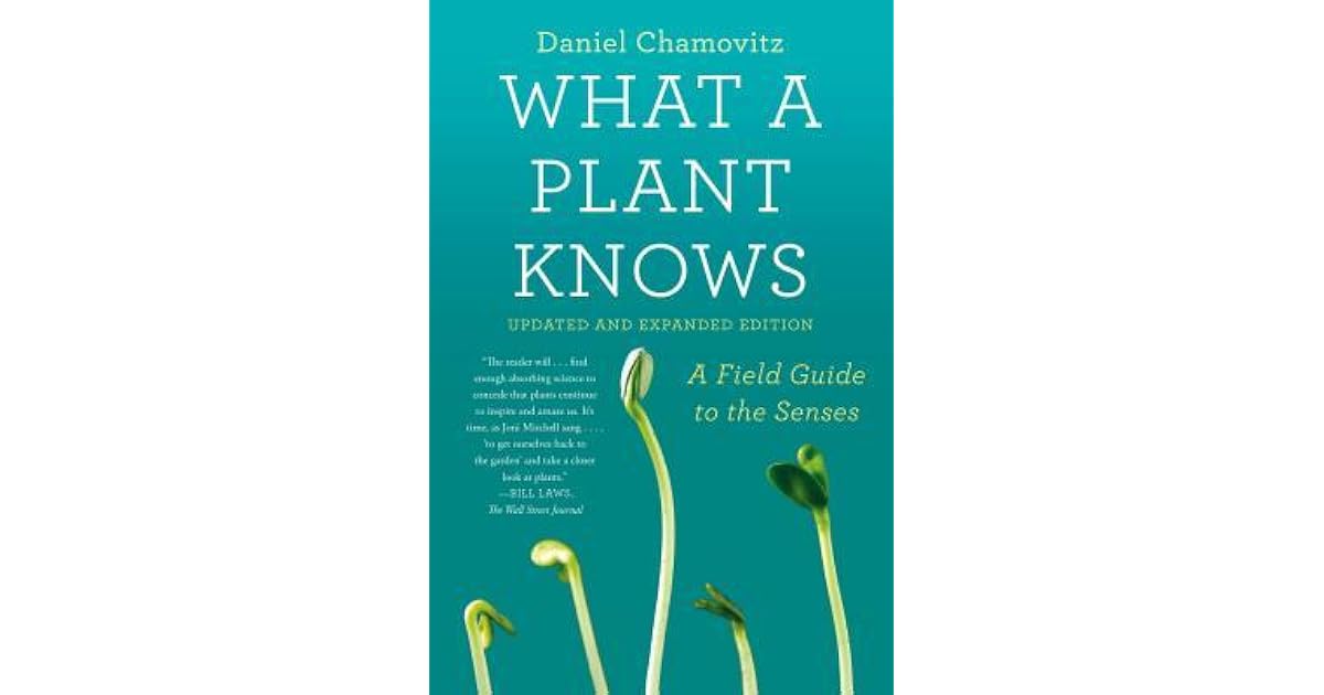 What a Plant Knows A Field Guide to the Senses Revised Edition by Daniel Chamovitz