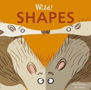 Wild! Shapes (Wild! Concepts)