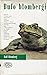 Bufo blombergi