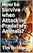 How to Survive when Attacki...