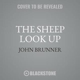 The Sheep Look Up