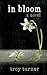 In Bloom: A Novel