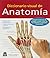Diccionario visual de anatomía