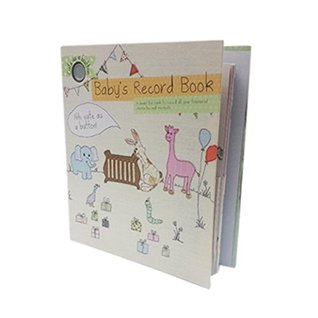 Baby's Record Book (Paperback)