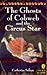 The Ghosts of Cobweb and the Circus Star (Young Puffin Read Alone)