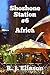Shoshone Station #6: Africa...