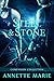 Steel & Stone Companion Collection (Steel & Stone, #6) by Annette Marie