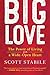 Big Love by Scott Stabile