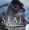 Seals in the Wild: Nature's Curious Creatures